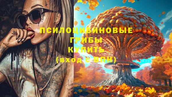 а пвп мука Богородск