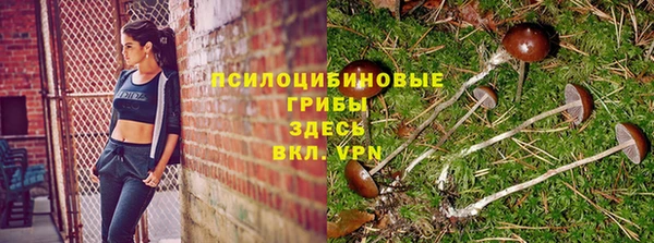 ALPHA-PVP Богданович