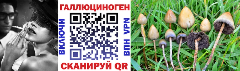Псилоцибиновые грибы мицелий  цена наркотик  Называевск 